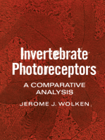 Invertebrate Photoreceptors: A Comparative Analysis