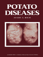 Potato Diseases