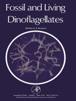 Fossil and Living Dinoflagellates