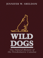 Wild Dogs: The Natural History of the Nondomestic Canidae