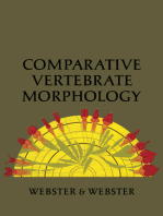 Comparative Vertebrate Morphology