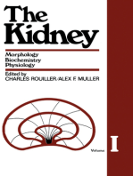 The Kidney: Morphology, Biochemistry, Physiology