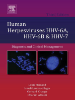 Human Herpesviruses HHV-6A, HHV-6B and HHV-7: Diagnosis and Clinical Management