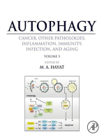 Autophagy: Cancer, Other Pathologies, Inflammation, Immunity, Infection, and Aging: Volume 3 - Role in Specific Diseases