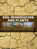 Soil Remediation and Plants: Prospects and Challenges