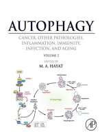 Autophagy: Cancer, Other Pathologies, Inflammation, Immunity, Infection, and Aging: Volume 2 - Role in General Diseases