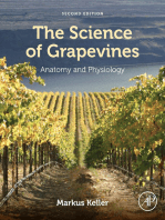 The Science of Grapevines: Anatomy and Physiology