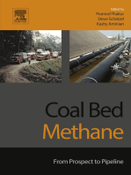 Coal Bed Methane: From Prospect to Pipeline