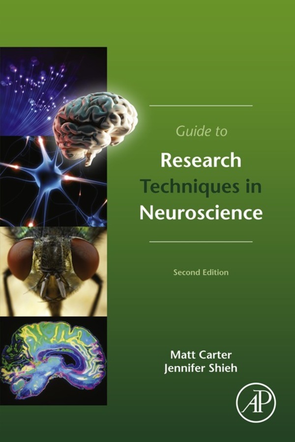 neuroscience future research directions