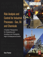 Risk Analysis and Control for Industrial Processes - Gas, Oil and Chemicals: A System Perspective for Assessing and Avoiding Low-Probability, High-Consequence Events
