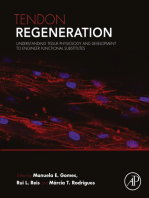 Tendon Regeneration: Understanding Tissue Physiology and Development to Engineer Functional Substitutes