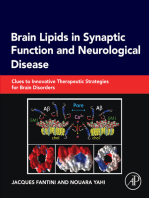 Brain Lipids in Synaptic Function and Neurological Disease: Clues to Innovative Therapeutic Strategies for Brain Disorders