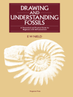 Drawing & Understanding Fossils: A Theoretical and Practical Guide for Beginners with Self-assessment