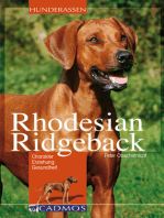 Rhodesian Ridgeback: Charakter, Erziehung, Gesundheit