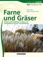 Farne und Gräser: Sumpf- und Wasserpflanzen, Knollen- und Zwiebelpflanzen, Kräuter- und Heilpflanzen