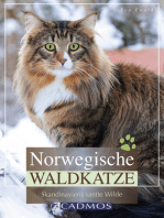 Norwegische Waldkatze: Skandinaviens sanfte Wilde