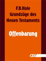 Grundzüge des Neuen Testaments - Offenbarung