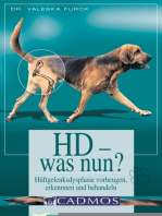 HD - was nun: Hüftgelenksdysplasie vorbeugen, erkennen und behandeln