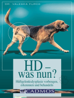 HD - was nun