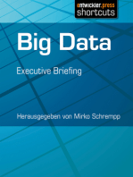 Big Data: Executive Briefing