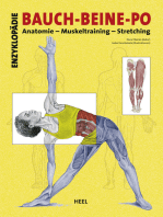 Enzyklopädie Bauch - Beine - Po: Anatomie - Muskeltraining - Stretching