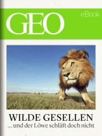 Wilde Gesellen