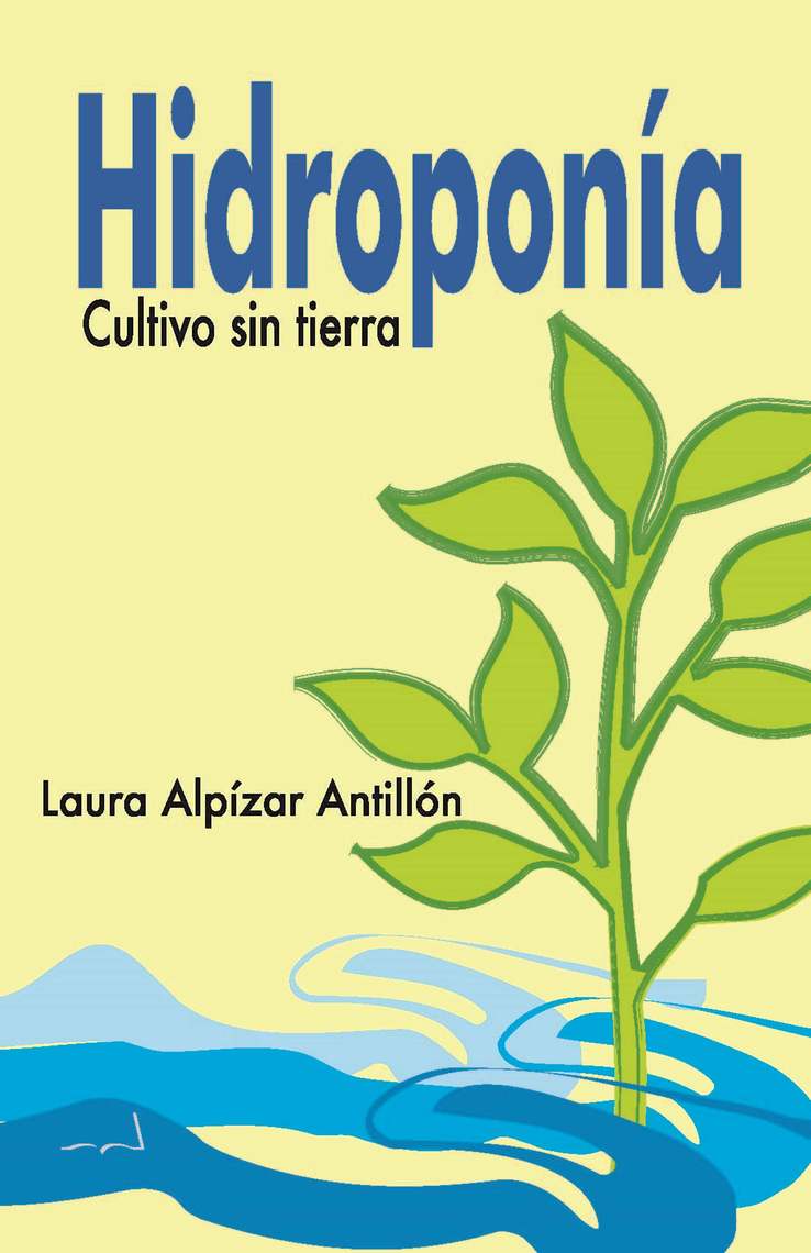 Hidroponia Sin Agua
