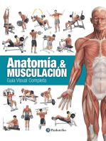 Anatomía & Musculación: Guía visual completa