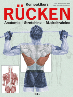 Kompaktkurs Rücken: Anatomie - Stretching - Muskeltraining