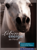 Die Lebensenergie der Pferde: Kommunikation, Verbindung, Gefühl