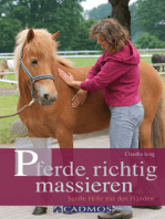 Pferde richtig massieren: Sanfte Hilfe mit den Händen