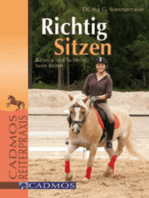 Richtig Sitzen: Balance und Sicherheit beim Reiten