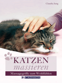 Katzen massieren: Massagegriffe zum Wohlfühlen