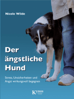 Der ängstliche Hund: Stress, Unsicherheiten und Angst wirkungsvoll begegnen