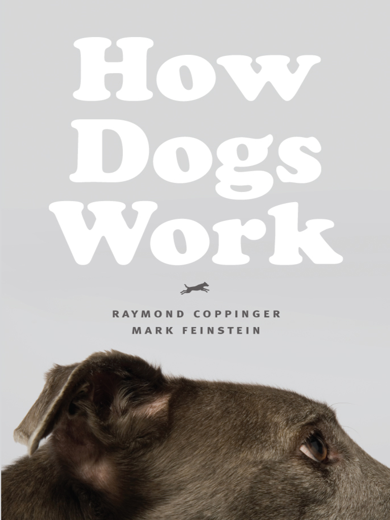 How Dogs Work by Raymond Coppinger, Mark Feinstein, and Gordon M