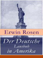 Der Deutsche Lausbub in Amerika: Erinnerungen, Reisen und Eindrücke