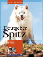 Deutscher Spitz: Charakter. Erziehung. Gesundheit.
