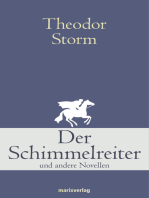 Der Schimmelreiter: Und andere Novellen