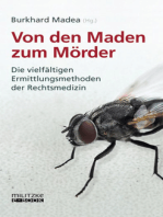 Von den Maden zum Mörder