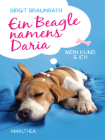 Ein Beagle namens Daria: Mein Hund & ich