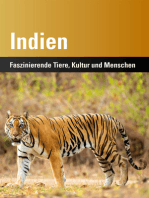 Indien: Faszinierende Tiere, Kultur und Menschen