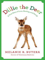 Dillie the Deer