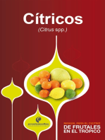 Manual para el cultivo de frutales en el trópico. Cítricos