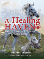 A Healing Haven
