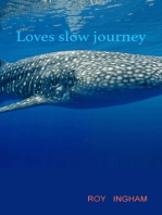 Loves Slow Journey