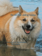 En del blir aldrig vuxna: Berättelsen om Islandshunden från Gimgölet