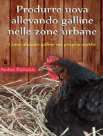 Produrre uova allevando galline nelle zone urbane