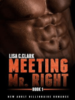 Meeting Mr. Right: Book # 1: New Adult College Romance  Alpha Series, #1