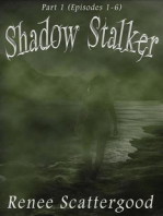 Shadow Stalker Part 1 (Episodes 1 - 6)