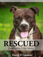 Rescued Based on a True Story